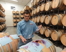 Barrel Tasting Plum Creek Winery If Not Peaches, Pairs: Barrel into Spring in Palisade 4