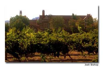 Holy-Cross-Abbey-Vineyards