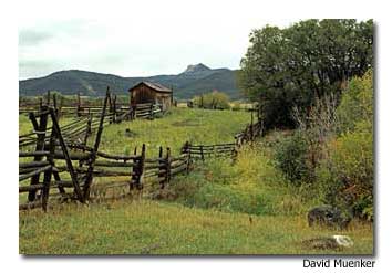Ranchlands-Farms-Orchards-Vineyards Colorado Scenic Byways: Grand Mesa 3