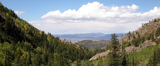 Alpine Rose Steamboat Springs Alpine Rose Steamboat Springs