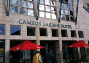 Camels Garden Camels Garden