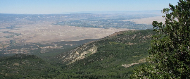 Grand Junction Hotels Header