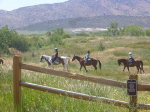 Bear Creek Stables Bear Creek Stables