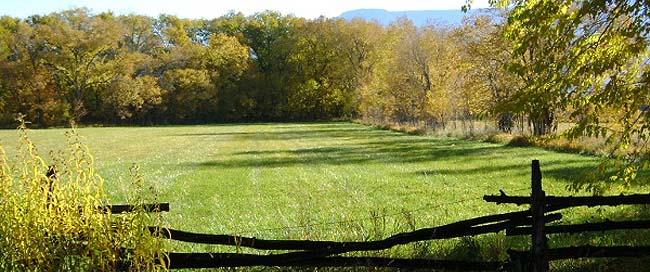 Mariner Farm Pasture Header Mariner Farm Pasture