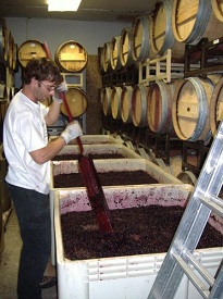 Fermenting At 9000 Feet Fermenting At 9000 Feet