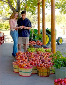 Palisade Peaches Palisade Peaches
