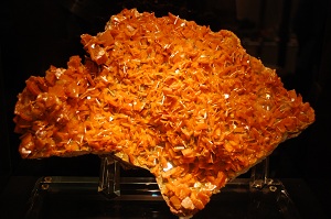 Wulfenite Geology Museum Wulfenite Geology Museum
