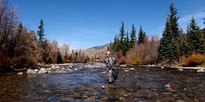 Fly Fishing Blue River Breckenridge Fly Fishing the Blue River in Breckenridge