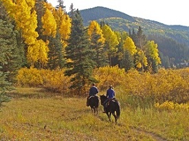 Horseback Riding Dunton Horseback Riding Dunton