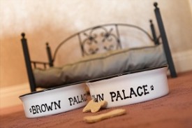 Pet Friendly Brown Palace Pet Friendly Brown Palace