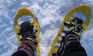 Snowshoes