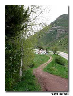 Spring-Trail-Running Stuck in the Mud: Spring Trail Running in Vail 3