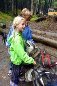 dog-sled-discovery-musher Mush! Frolic In the Snow With the Dogs 5