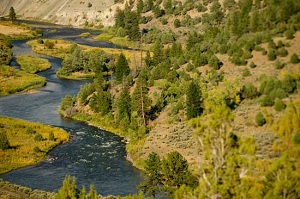 Fraser River Colorado Fraser River Colorado