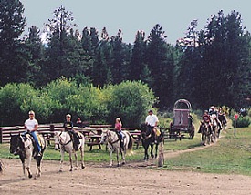 Trailride Winding River Trailride Winding River