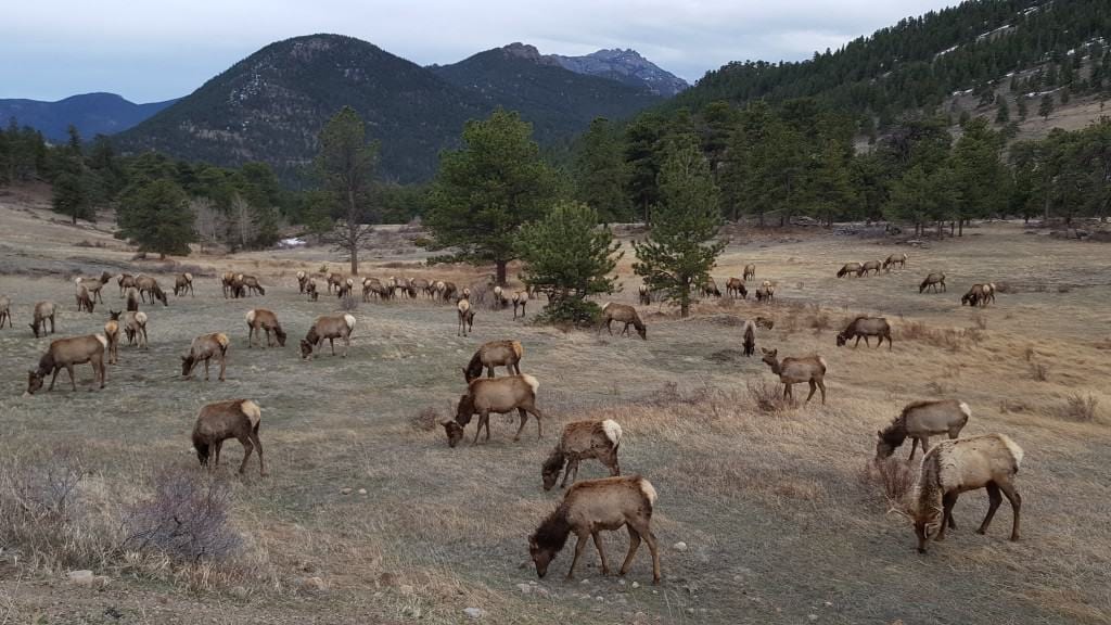 small towns in colorado