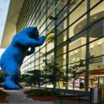 Blue Bear Denver